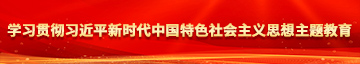 操逼视频白虎网站学习贯彻习近平新时代中国特色社会主义思想主题教育